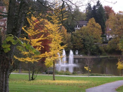 Penthouse der Superlative im Vikoriapark Kronberg