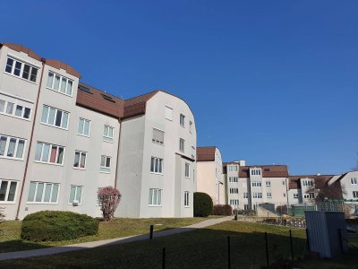 3-Zimmer-Wohnung, Top 1