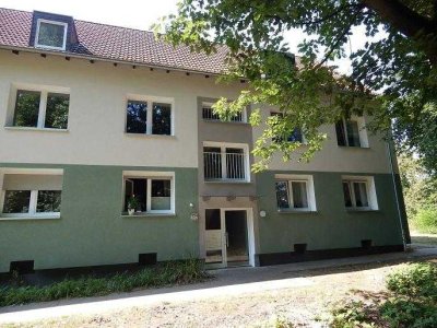 tolle, frisch sanierte 3-Zimmer-Wohnung im EG mit großem Balkon