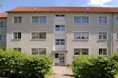 Gemütliche 3-Zimmer Wohnung in Duisburg-Bergheim!