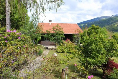 Gartentraum mit "Haus am Wald"