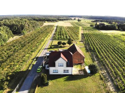 Saniertes EFH mit viel Nebengelass direkt am Weinberg