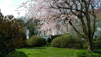 Charmante 3-ZKB-Wohnung mit eigenem Eingang und Gartenblick in Laudenbach (Bergstraße)