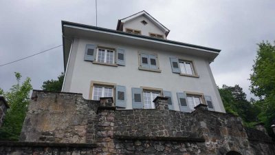 USAG Baumholder: core renovated historic villa - choose 1 of 3 apts. or  whole house - apt no 2