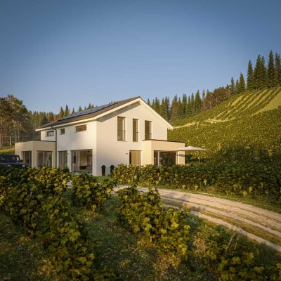 Effizient, individuell & flexibel: Ihr Traumhaus mit Bien-Zenker