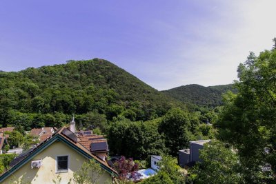 Private Villa mit Pool &amp; Grünblick – Moderne Architektur zwischen Wien und Wienerwald - inkl. Interior-Beratung!