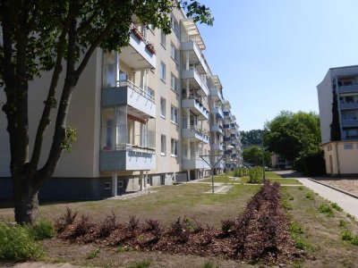 Ideal für den Start!