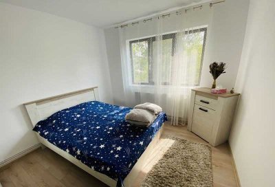 Schöne und vollständig renovierte 2-Zimmer-Wohnung mit EBK in Sundern (Sauerland)