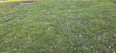 Seltene Gelegenheit in Reutlingen-Sondelfingen - Wer zuerst kommt, baut zuerst!