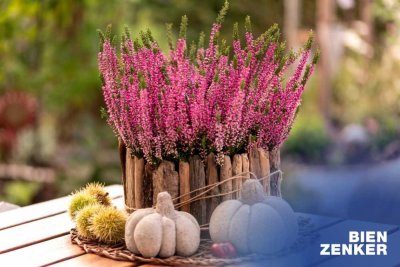 AMBIENCE 130 - Ihr individuelles Traumhaus