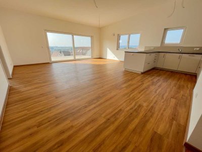 Exklusives Penthouse mit 60 m² Terrasse & Ausblick in Dornstetten