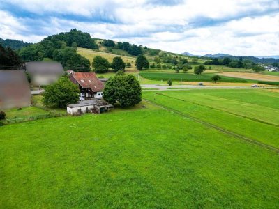 BIETERVERFAHREN: Sanierungsbedürftiges Einfamilienhaus in einmaliger Lage mit viel Platz