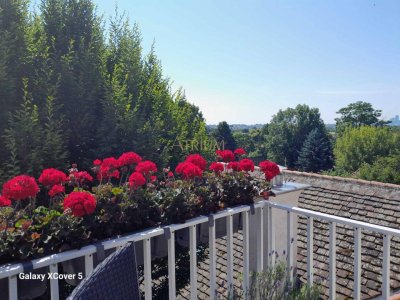 Charmante Maisonette-Wohnung mit Südterrasse, Weitblick über Wien