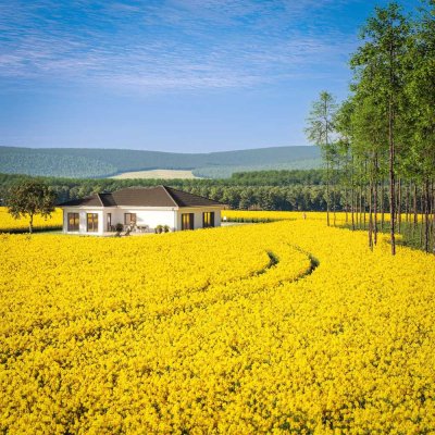 Von der Vision zum Zuhause: Ihr Bien-Zenker Traumhaus