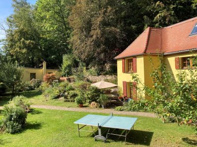 Idyllisch gelegenes EFH mit Elbblick und Ferienhaus zur Finanzierung + provisionsfrei +