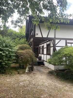 Top Lage in Stein. Doppelhaushälfte als Wohnhaus oder Gewerbe nutzbar in unverbaubarer Südlage !