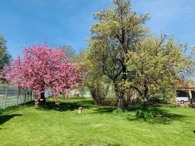 Haus mit traumhaftem Obstgarten in Lanzendorf | 6 Zimmer, 4 Autostellplätze | Auch als Mehrfamilienhaus nutzbar | Am Naherholungsgebiet Zayawiesen