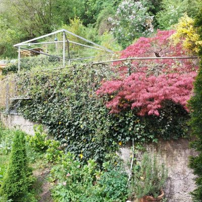 Wunderschöne ruhige 3-Zimmer Wohnung mit Garten in Trostberg