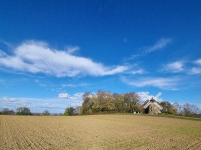 Freundliche 2-Zimmer-DG-Wohnung in RODENBERG