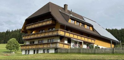 Schöne 2 Zimmerwohnung mit großem Balkon und Terasse in Breitnau