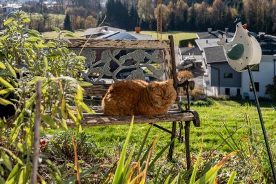 Panoramalage - Ihr Haus über dem Tal