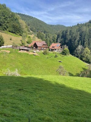 Traumhaftes Grundstück in Alleinlage mit Mehrfamilienhaus und historischen Bauernhaus
