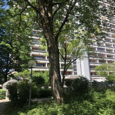 Voll möblierte Wohnung mit gehobener Innenausstattung und Schwimmbad in München Laim