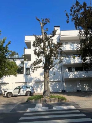 Wiesbaden Sonnenberg 1150 €, 90 m², 3 Zimmer