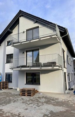 Stilvolle 2-Raum-Wohnung mit Terrasse in Münster-Sarmsheim (barrierefrei)