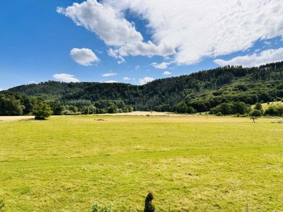 Exklusive 5-Zimmer Wohnung mit traumhaften Ausblick