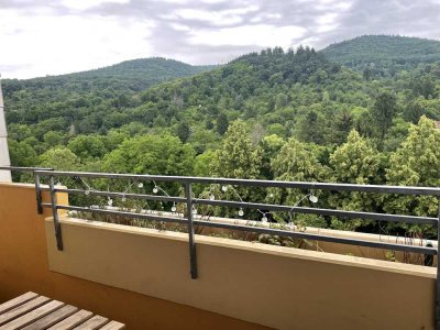 Schöne 2 Zimmer Wohnung in Heidelberg Handschuhsheim