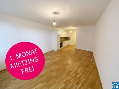 Nachhaltig Wohnen: Wohnen in THE FAVE am Laaer Wald!