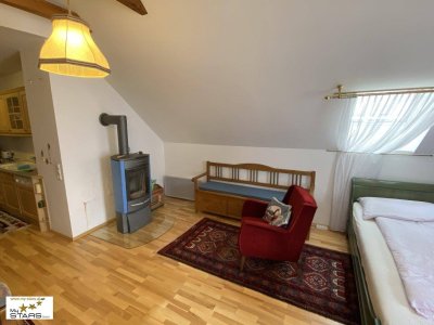 Neuer Preis! - Loftwohnung in historischer Villa mit Garten - Ruhe &amp; Lebensqualität im Ausseerland