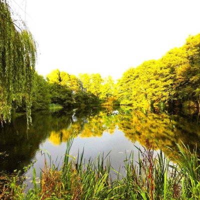 Traumhaus am See