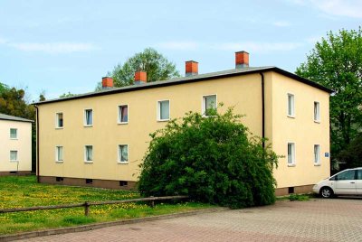 Moderne 1-Raum-Wohnung in Salzelmen zu vermieten