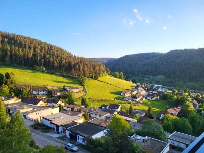 renovierte 1-Zimmer-Whg. + Küche + Bad + gr. Balkon in Baiersbronn