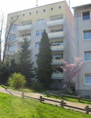 Eine Wohnung mit Ausblick: renovierte 2,5-Zimmer-Wohnung