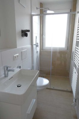 1 Zi-Apartment in Winnenden-Birkmannsweiler
