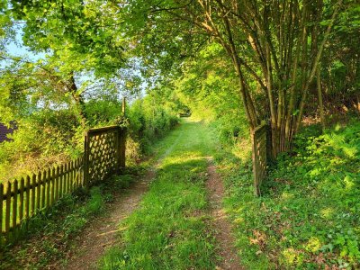 einzigartiges Grundstückpaket: Wohngebäude, Baufläche, 5ha Wald
