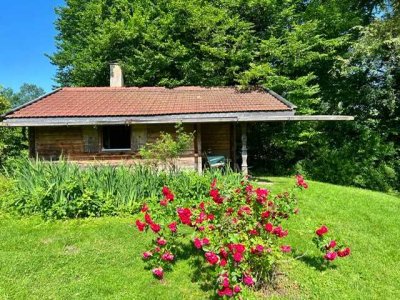 Feriendomizil - Kuschelige Holzhütte in Seenähe und mit Seeblick