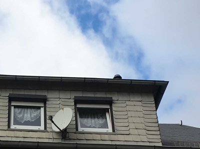 DG-Whg 40 m teilmöbliert ,Küche,SZ,WZ