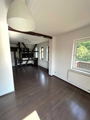 Helle, renovierte 2,5 Raumwohnung mit Einbauküche, Balkon, Garten