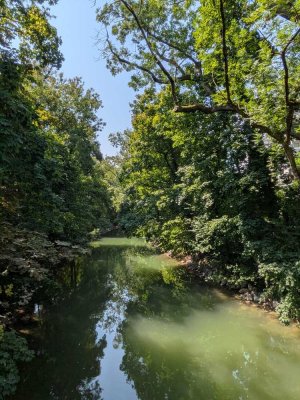 Ruhiges Wohnen auf einer Landzunge an der Donau - provisionsfrei / 1.OG / 4 Zimmer