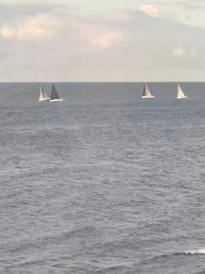 Wir senken den Preis !