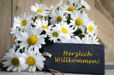 SINGLE-Erdgeschoss-Balkon-Wohnung  für Best Ager