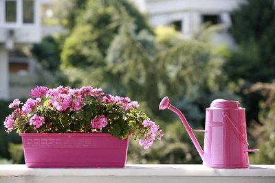 *Wir renovieren für Sie*