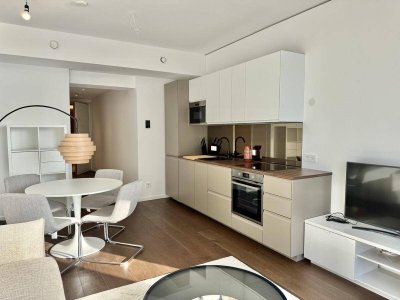 42. Etage: Möbliert - Gym, Pool und Wellnes: Den schönsten Ausblick mit Sonneuntergang auf Kahlenberg