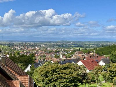 Traumhafte Weitsicht in die Vogesen und das Rheintal - nur 5 km von Freiburg