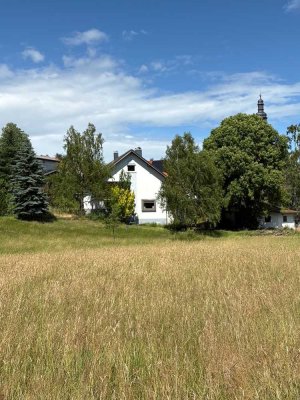 Bauernhaus Hof ehem. Mühle, 11000 qm, in schöner unverbaubarer Ortsrandlage, Vogelsberg