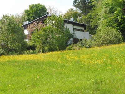 ***Grünes Paradies: Ruhe und Erholung***